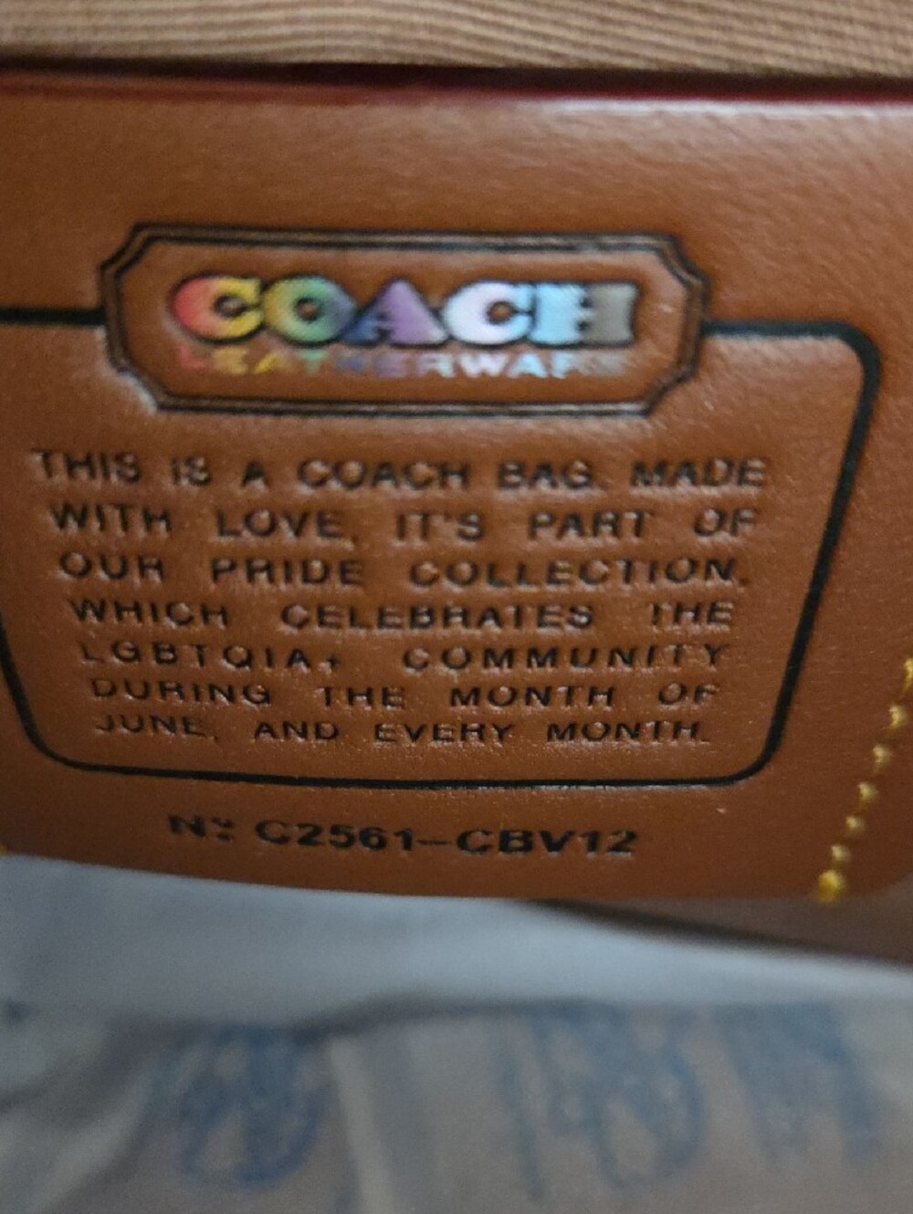NWT Coach THEO Camera Pride  Crossbody Bag - Beige with Multicolor Rainbows - Picture 7 of 13